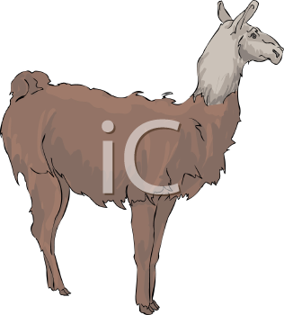 Llama Clipart