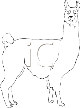 Llama Clipart