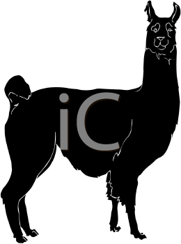 Llama Clipart