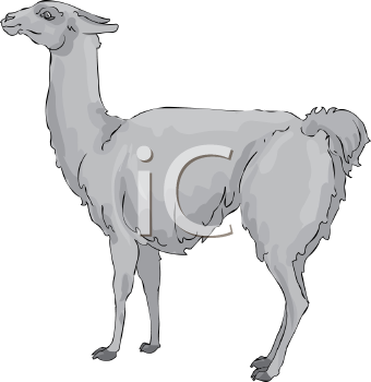 Llama Clipart