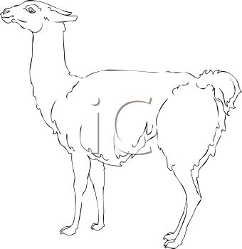 Llama Clipart