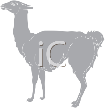 Llama Clipart