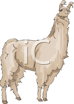 Llama Clipart