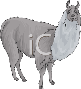 Llama Clipart