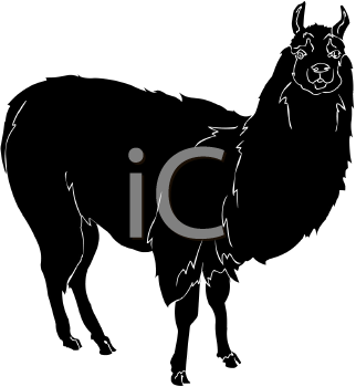 Llama Clipart