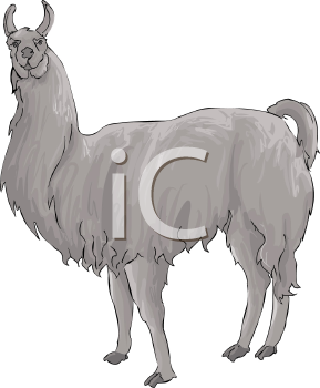 Llama Clipart