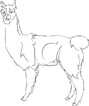 Llama Clipart