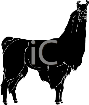 Llama Clipart