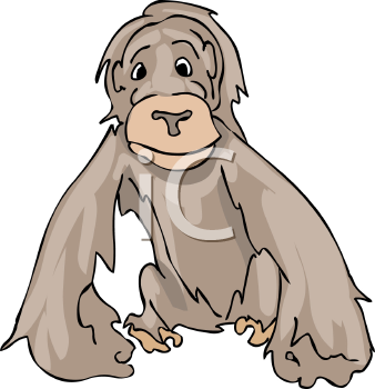 Orangutan Clipart