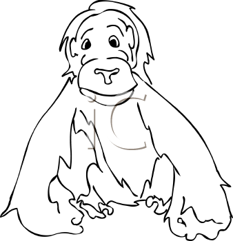 Orangutan Clipart