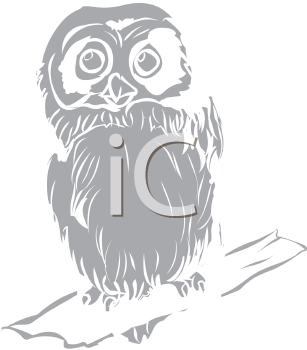 Owl Clipart