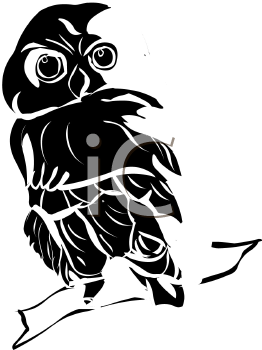 Owl Clipart