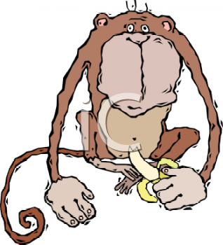 Gorilla Clipart