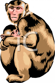 Gorilla Clipart