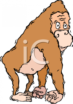 Gorilla Clipart