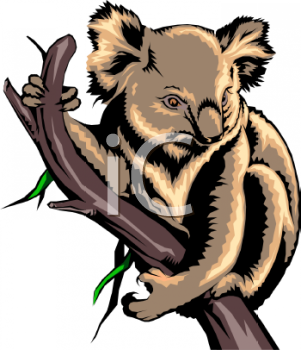 Koala Clipart