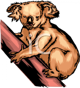 Koala Clipart