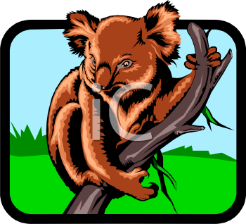 Koala Clipart