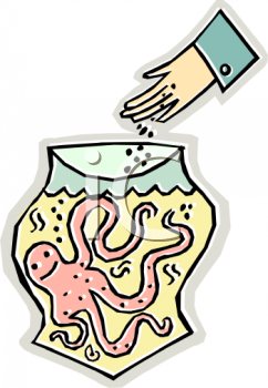 Octopus Clipart