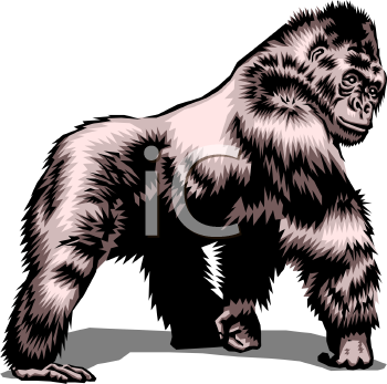 Gorilla Clipart