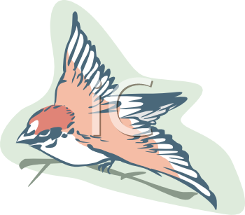 Hummingbird Clipart