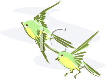 Hummingbird Clipart