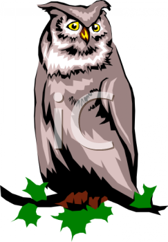 Owl Clipart
