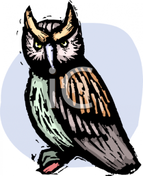Owl Clipart
