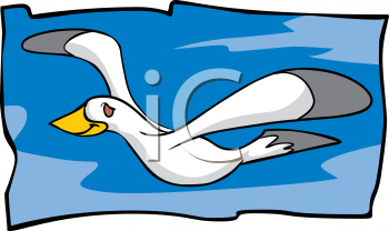 Seagull Clipart