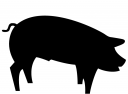 Pig Clipart