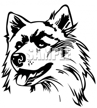 Husky Clipart