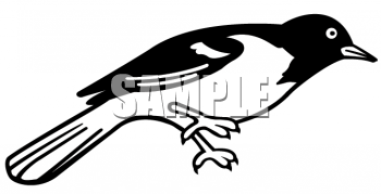 Bird Clipart