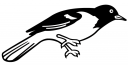 Bird Clipart