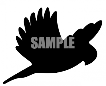 Bird Clipart