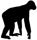 Gorilla Clipart