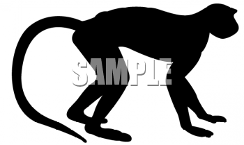 Monkey Clipart