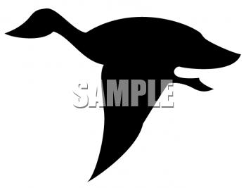 Bird Clipart