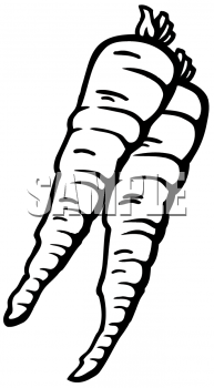 Carrot Clipart