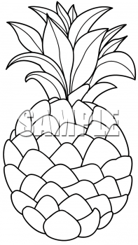 Pineapple Clipart