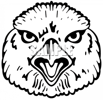 Eagle Clipart