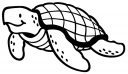 Turtle Clipart