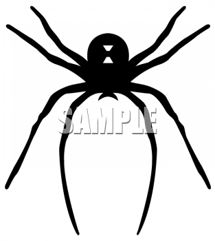 Spider Clipart