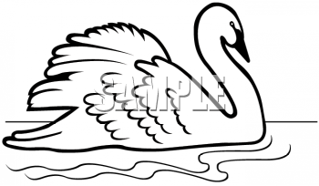 Swan Clipart