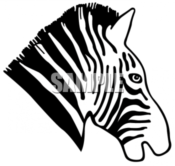 Zebra Clipart