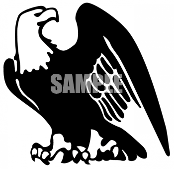 Eagle Clipart