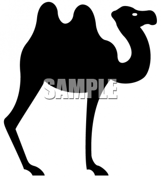 Camel Clipart