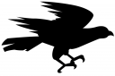 Eagle Clipart