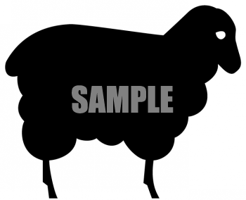 Sheep Clipart