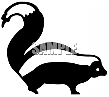 Skunk Clipart