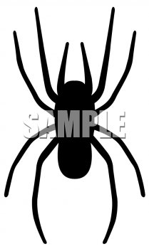 Spider Clipart